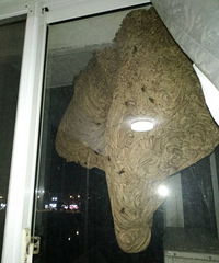 �ܼ��־�֢�����ˣ��������̫���� ���㻦�ټ���