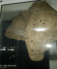 ̫���ˣ����ﴰ�����˾޴��������