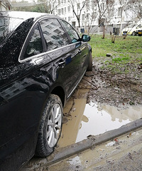 ����ͣ�ڲ�ƺ�� ���־����� Ū�˰������մ��ȥ�ϰ࡭��