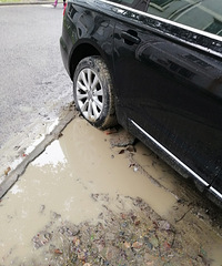 ����ͣ�ڲ�ƺ�� ���־����� Ū�˰������մ��ȥ�ϰ࡭��