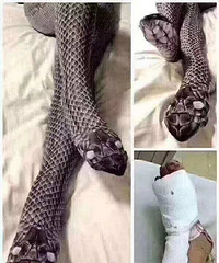 ��㤣���˫�������������Ҫ�������