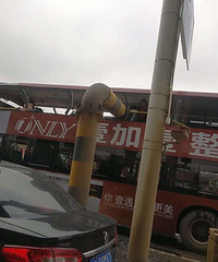 ̫�����ˣ�˫�㹫���������� �޸߼�����ͷƤ����