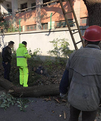 ���գ����ڸոգ���������ͻȻ���� һ�����˲���׹�䣡