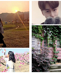 �������ʵ����α�����ǰ�ѵ������