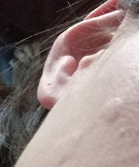 ���������˴�բз ���ϳ����˰� ��ô���£�