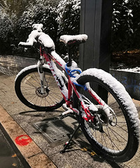 ����ѩҹ���ؼ�·�ϱ�ѩ������ ��������ˣ�