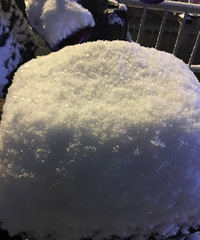 ��������2018���һ��ѩ��Ȼ������ô��