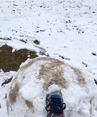 �����빫԰��ѩ��̫������ ѩ���Ĺ������ˣ�