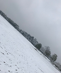 �����빫԰��ѩ��̫������ ѩ���Ĺ������ˣ�