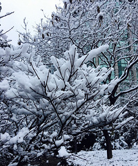 ��װ�ع� ���ݵ�ѩ�µþ�Ȼ�ȼ��˵Ļ���