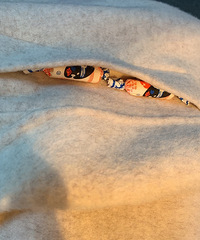 �������� ������ϲ