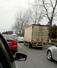 2019���һ�죬320�����³ɹ�