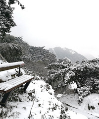 瑞雪兆丰年,2018年最后一场雪,怎么那么美!!