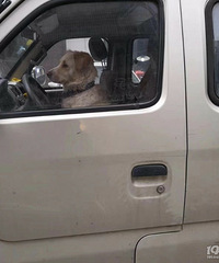 �³��� �����˲��� ���ҵȺ�ơ���