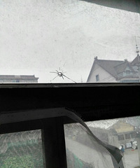 ��Ŀ���ģ�������������� ���ڹ����ܾ���