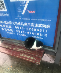 ���ţ�����һ������������׳ٵ� ���˰�Сʱ�εγ���û����