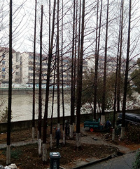 �ÿ�ϧ��ĳ��С��Ϊ������ͣ��λ ��������30����������