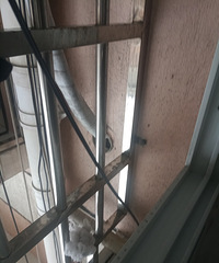 �����ھӡ�