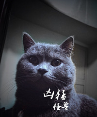昨天夜里睡不着觉,半夜一点翻看相册,那就