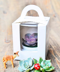 ˦���ô�ֵĻ����  һ����GET��10Ԫ���ڵĸ߱Ƹ������