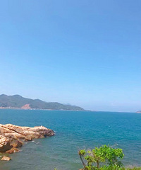 ��˵����ĺ��绹�ܴٽ�ѪҺѭ����