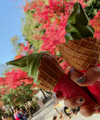 ���ѵ�flag��90��MM ������ְ���� �������� ��������