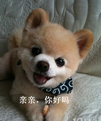 80��GG����176 ϲ��С���� ������ ��н10W �з�