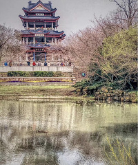 ��ӣ������ȥ�ձ����������ӣ����������Ҫ�ǽ���