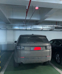 ����������̫ţ�� �������ţ�Ľ�ʬ���Ƕ�ã�