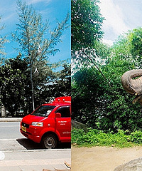 ��ֵ1.2WԪ̩����������ͣ�