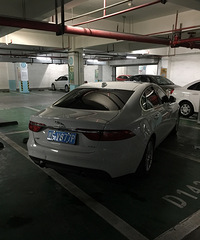 ��Գ�λ�����ˣ�