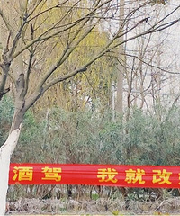 嘉桐大道挂了一标语:“你若酒驾,我就改嫁” 好霸气