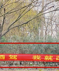 ��ͩ������ְ��������Ƽ��Ҹļ�