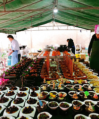 �μ��˳�ũ�����~�ų��ܴ���ȫ����Ƶ�Ŷ ������Щ��ˣ�