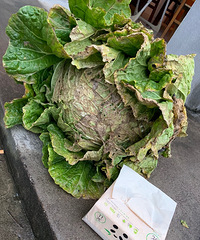 ��ײ���ĺô�