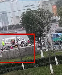 ���ǵ綯���������ף�����ڲ�ʢ��·����