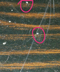 �Ҿ��Ͼ��ְ�ɫС�� ������������