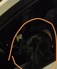 ̫��Ц���賿1�� ����С�ﾹ�ں��̵�·�ڡ����춼����