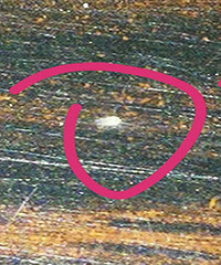 �Ҿ��Ͼ��ְ�ɫ���࣡��ô������������