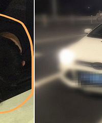 �賿1�������С�� �������죡