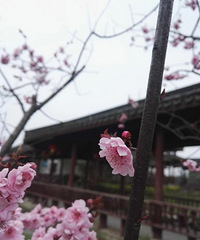 �ѵú���������ĩȥ��Щ�ط�תת��