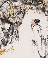 ����һ�࣡������ѧТ����ĩ������һ����Խ�Ĺ�ѧ֮�ð�