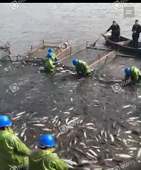 ����������������ڽ��쿪�� ͷ������80188��