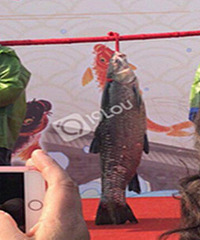 ţ�ƣ����˽�������������8��࣡