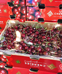 һ��һ�ȵ����ũչ��������һ��ԳԳ�������