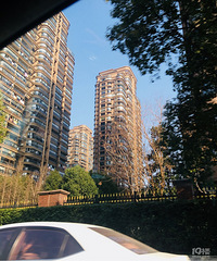 ����ȥ���ˡ�¥����������������˹ ��Ȼ�е�ϲ������