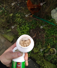 ���˼�ǧ��������޼� ������Գ�����֢��