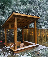 ���һ���ۣ�wanghong���޴���Ժ����ֻҪ699������û�У�