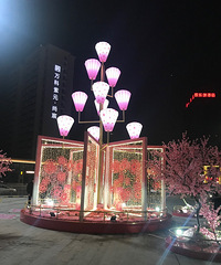 银泰门口又新摆了桃花装饰 感觉新春的气息满满啊