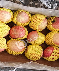 ̫�ӣ��ɱ���ë�����Ͽ���17�飡